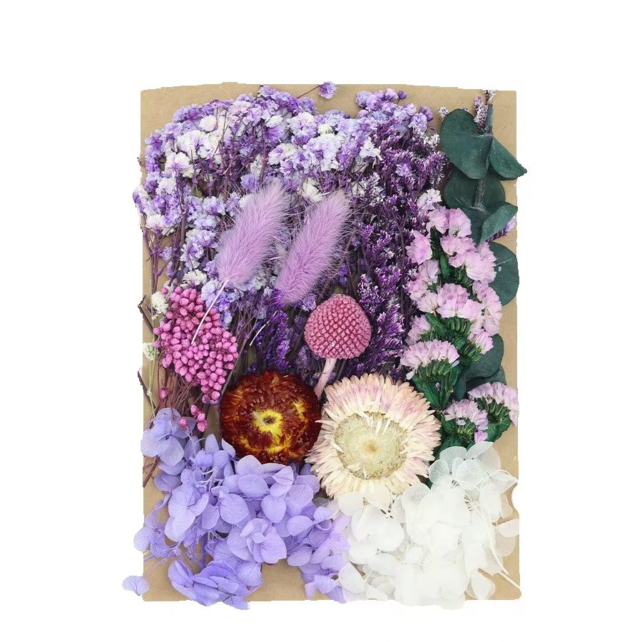 Dried Flower Bunch - Set Natural Plants Preserved Real Flowers