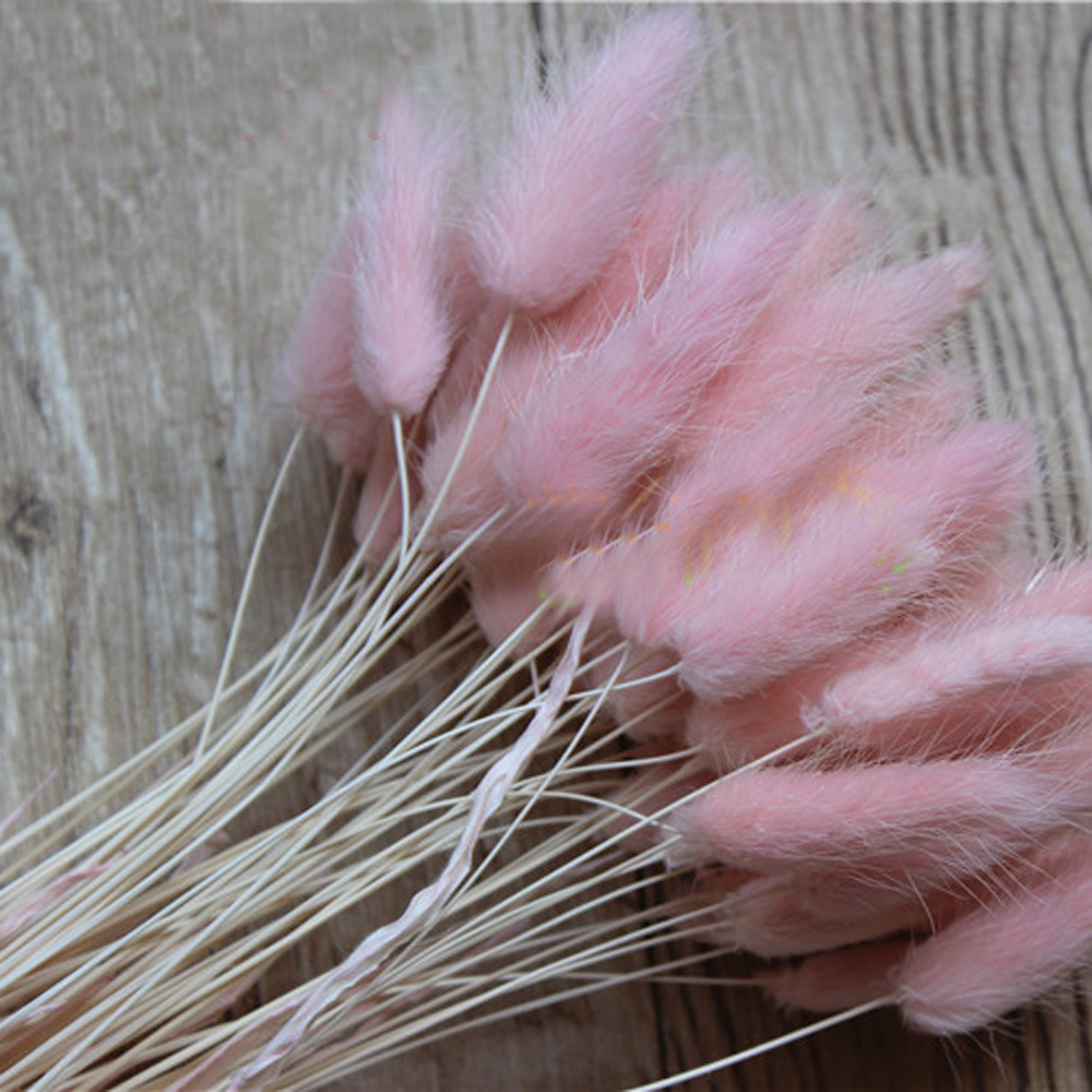 50pcs dried natural flower bou - Dried Flower Bunch 评论和价格