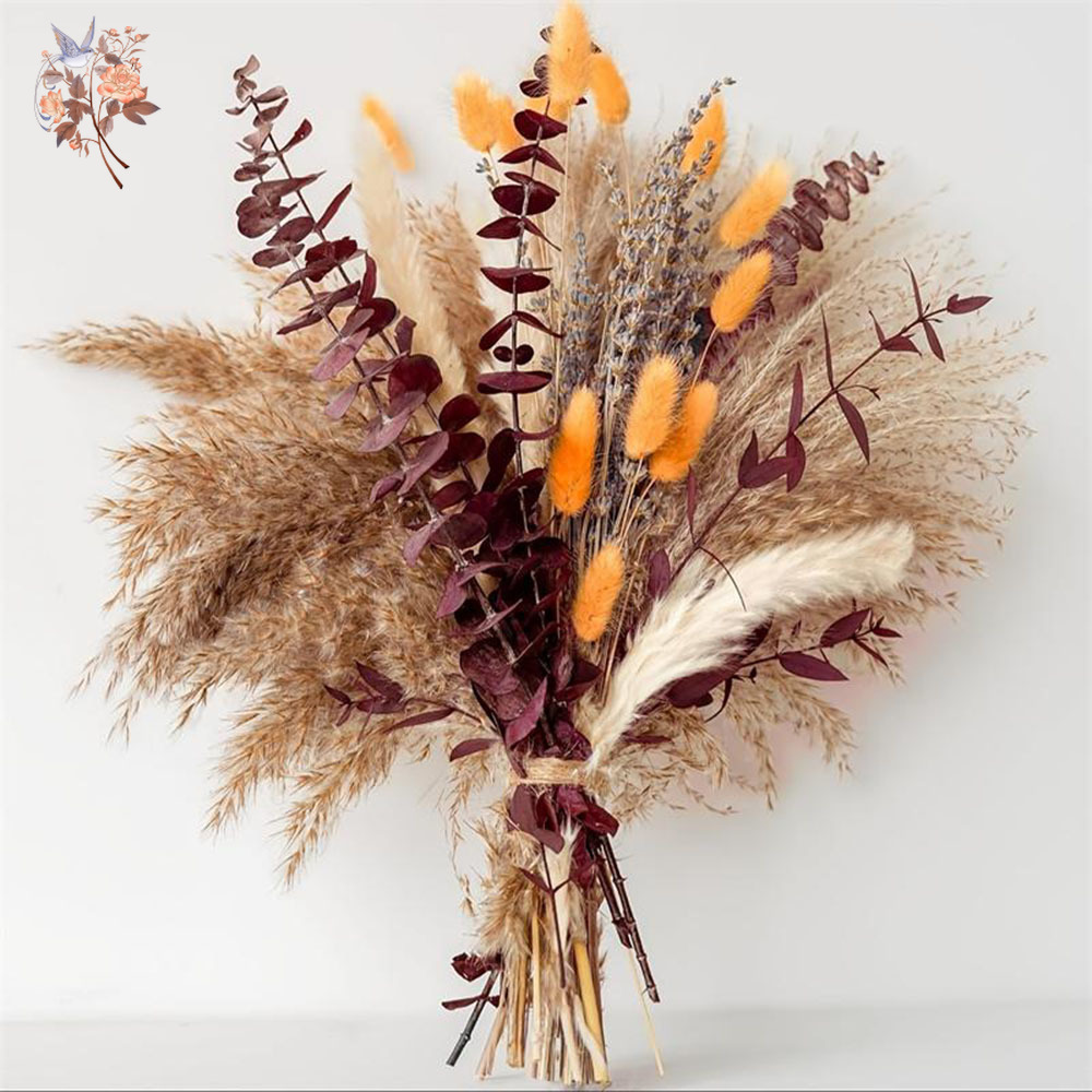 75PCS Dried Pampas Eucalyptus  - Dried Flower Bunch 评论和价格