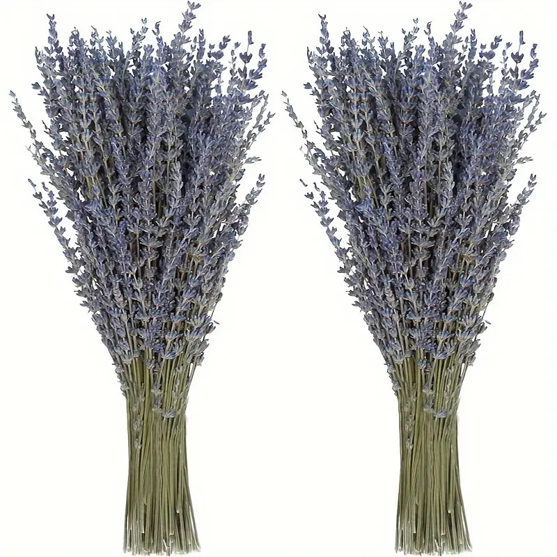 200pcs/Bunch Lavender Dried Fl - Dried Flower Bunch 评论和价格