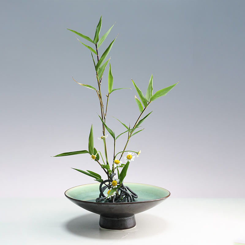 Japanese Ikebana Kenzan Flower - Flower Frog Pin 评论和价格