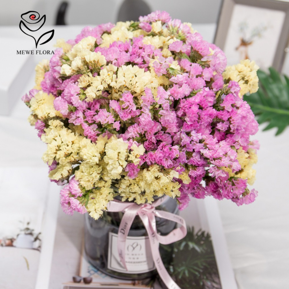 100g Dried Forget Me Not Flowe - Dried Flower Bunch 评论和价格