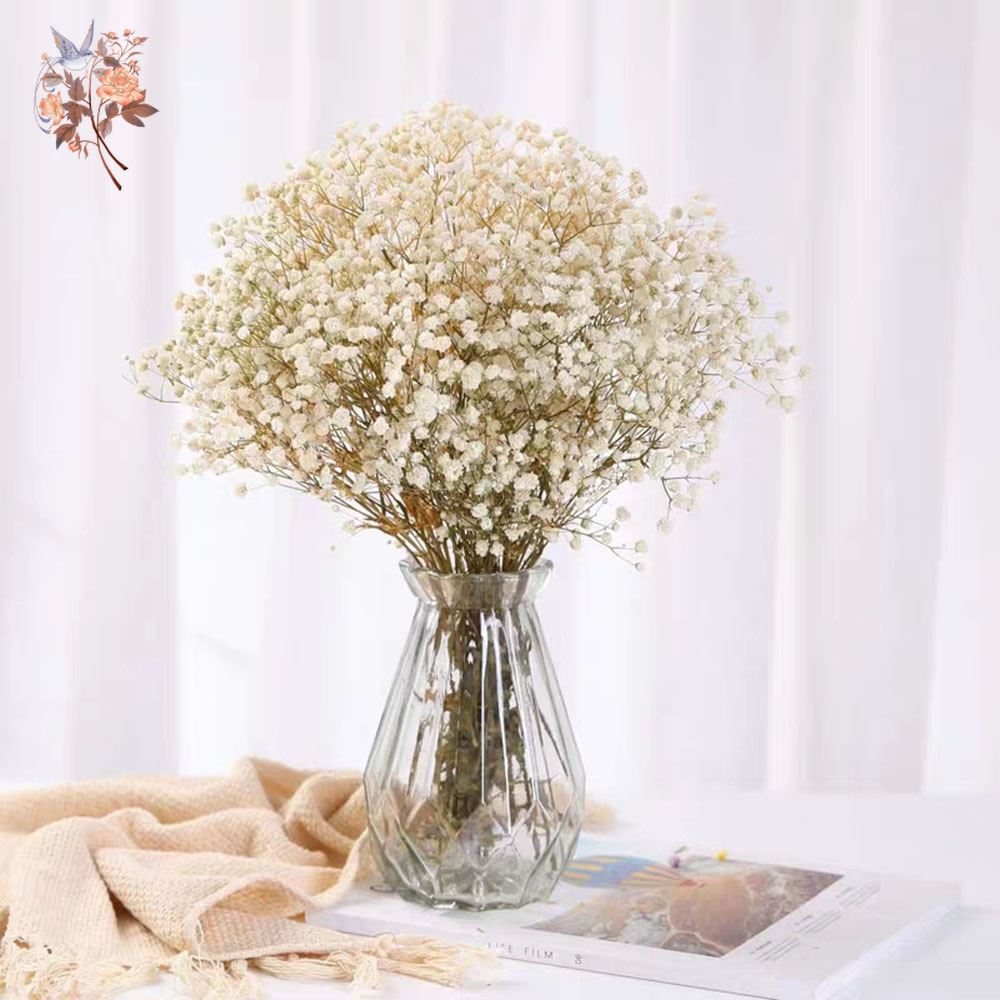 60g Dried Baby Breath Flower B - Dried Flower Bunch 评论和价格