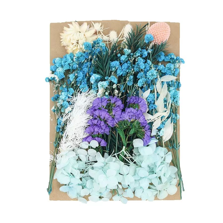 Set Natural Plants Preserved R - Dried Flower Bunch 评论和价格