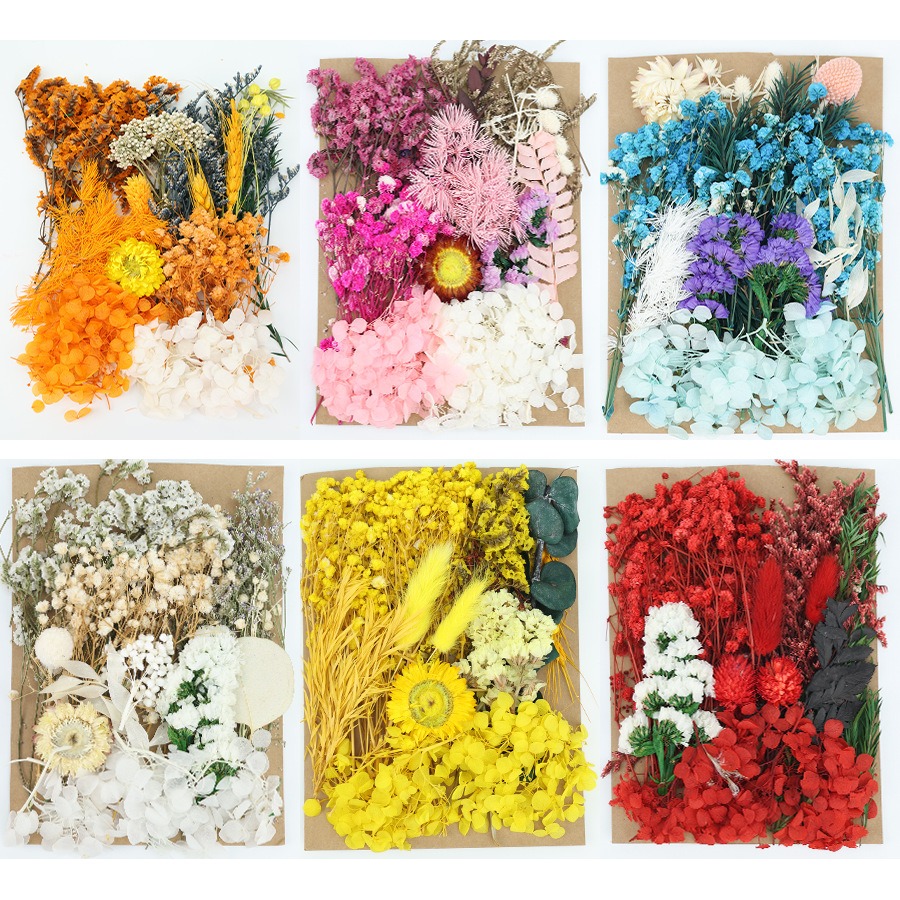 Set Natural Plants Preserved R - Dried Flower Bunch 评论和价格