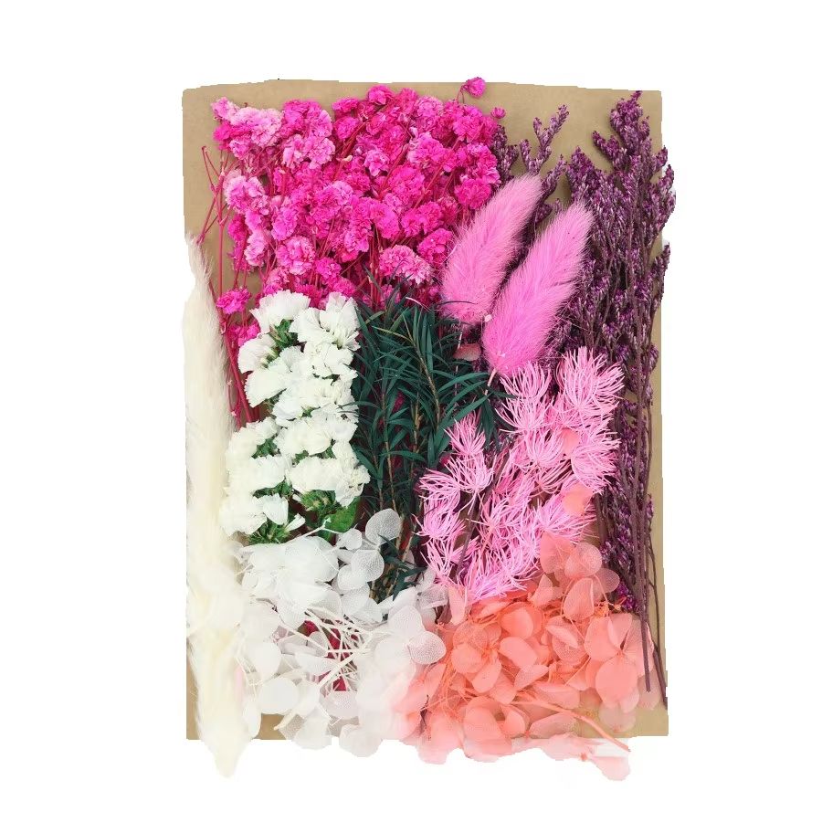 Set Natural Plants Preserved R - Dried Flower Bunch 评论和价格