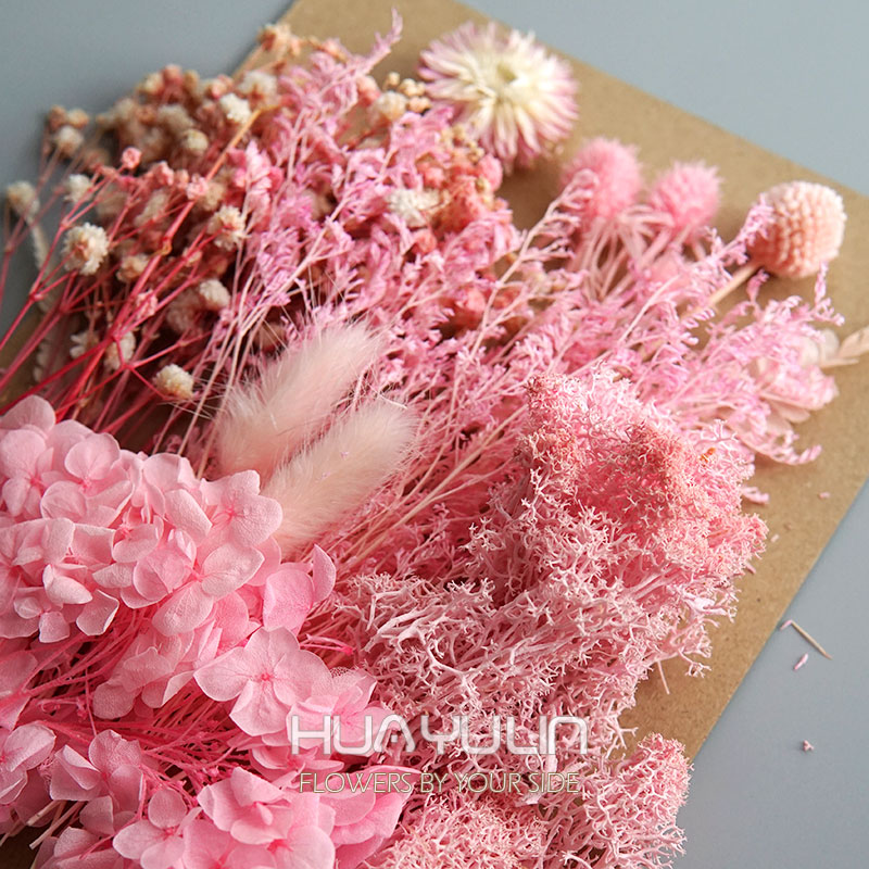 1 Pack Artificial Plants Dried - Dried Flower Bunch 评论和价格