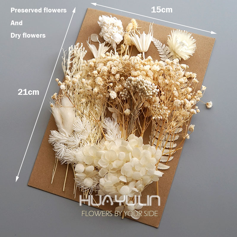 1 Pack Artificial Plants Dried - Dried Flower Bunch 评论和价格