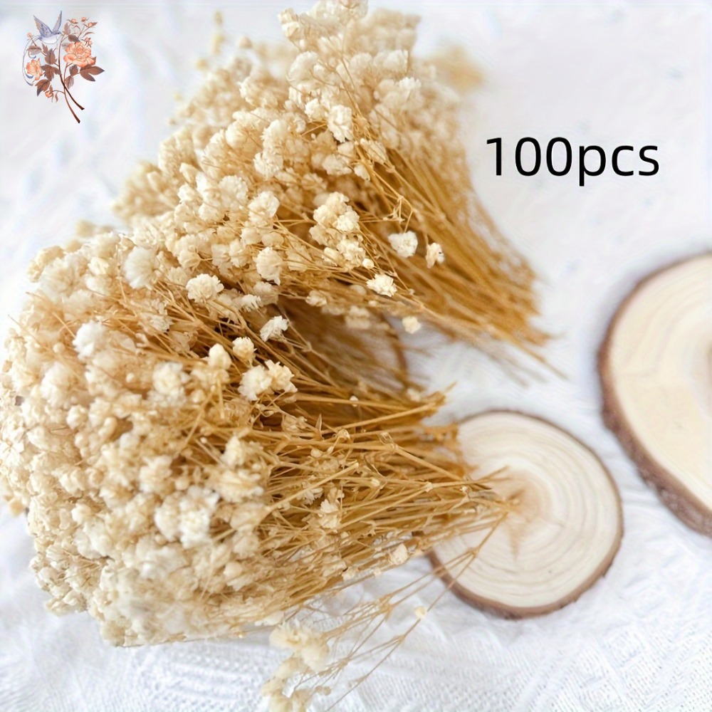 100pcs Mini Dried Baby's Breat - Dried Flower Bunch 评论和价格