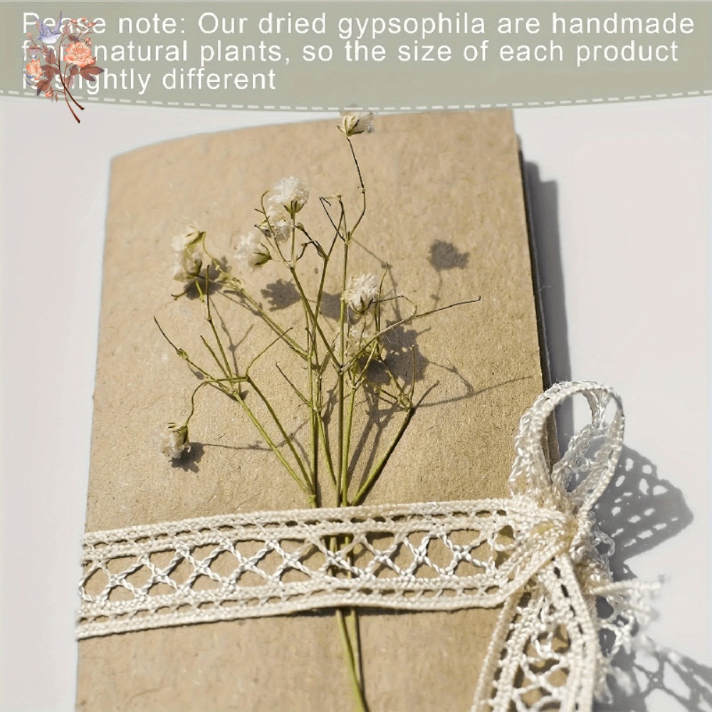 100pcs Mini Dried Baby's Breat - Dried Flower Bunch 评论和价格